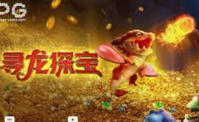 AG亚娱官方网站入口2024最新版